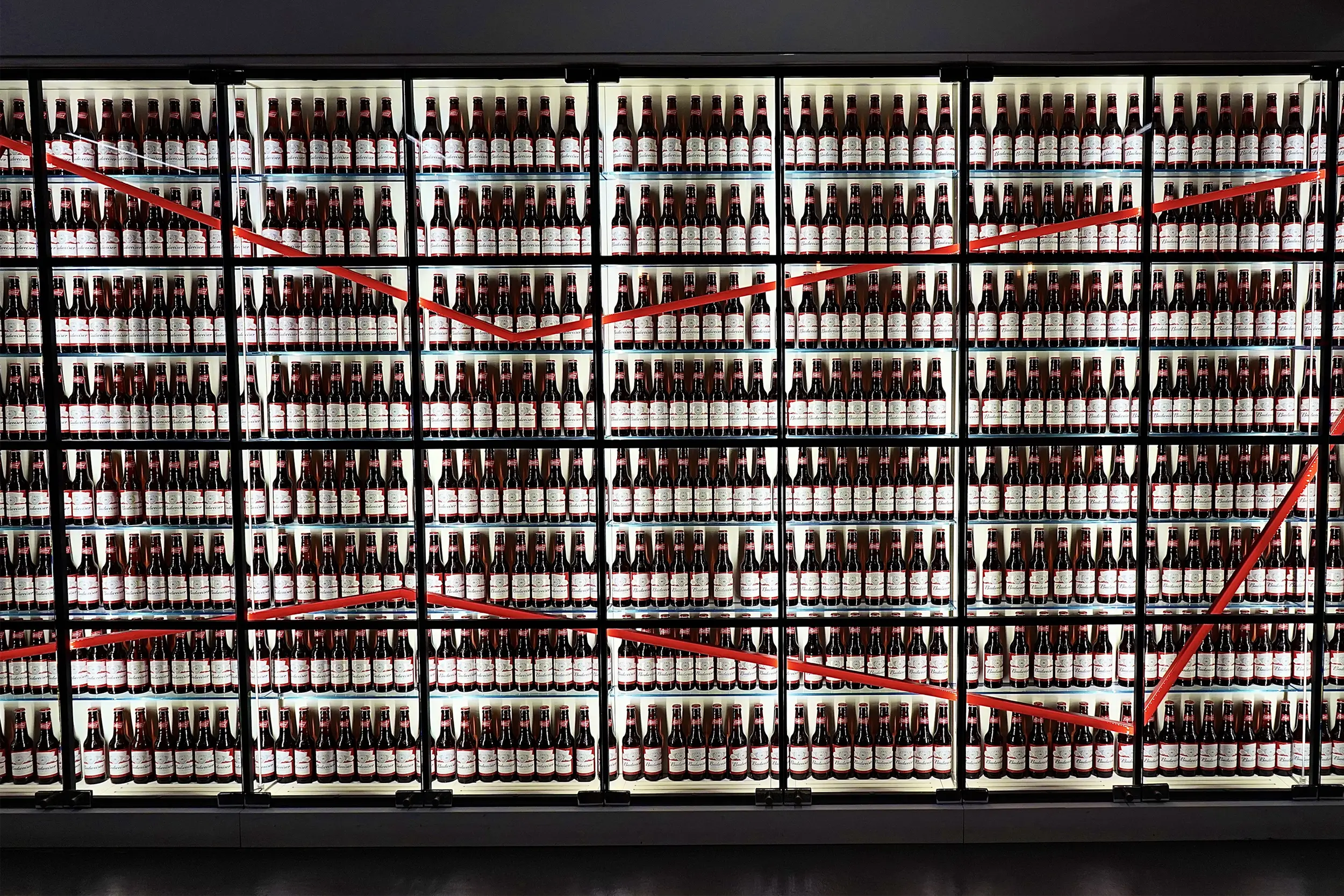 Bottled Budweiser Beer